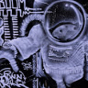 Meet your Posher, Bruce